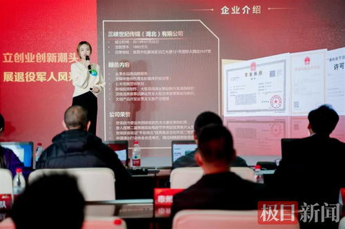 宜昌軍創(chuàng)企業(yè)閃耀“軍創(chuàng)杯”，躋身全省三強(qiáng)并賦能文化藝術(shù)交流